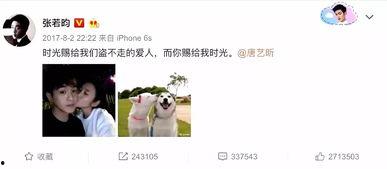 娱乐吃瓜君郑爽,娱乐圈的“吃瓜”焦点